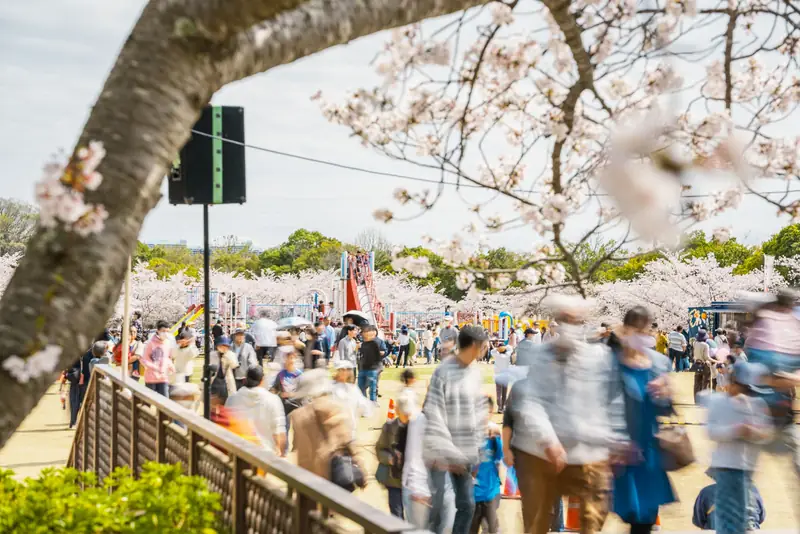 地下鉄でふらっと西神中央へ。桜まつりと春散歩の一日【2026】