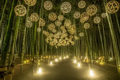 Arashiyama Bamboo Light-up 2026