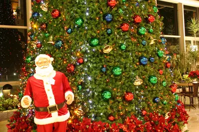 淡路ハイウェイオアシス クリスマスツリー