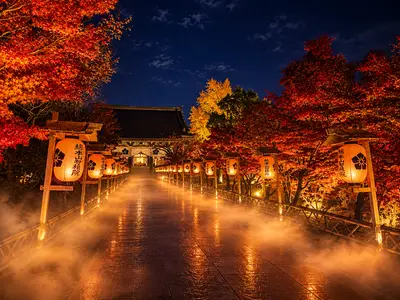 Chishakuin Autumn Light-up 2026 (Chisan Koyozuki)