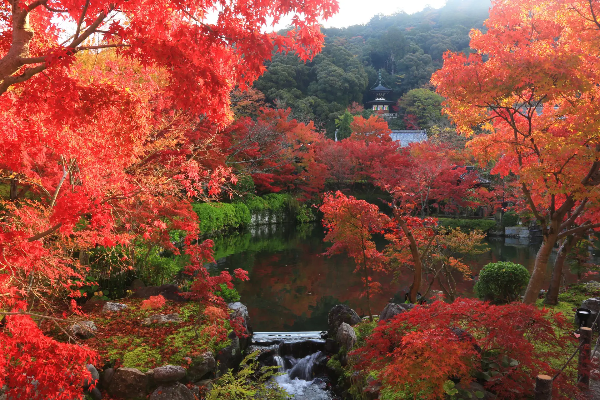 永観堂 紅葉ライトアップ 2026
