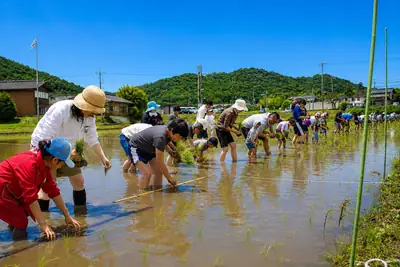 三田米の田植え体験＋食育