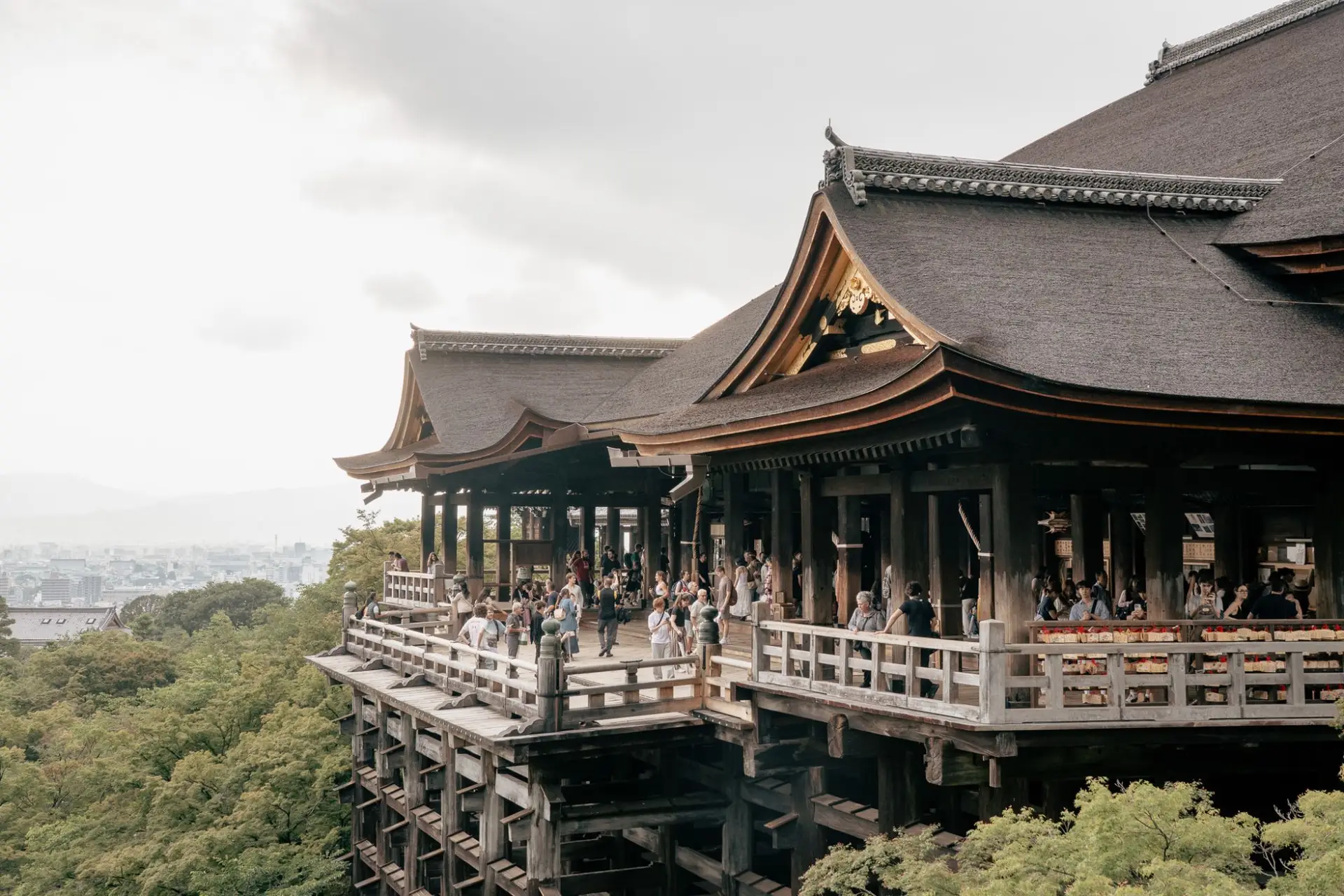 Kiyomizu-dera Autumn Light-up 2026