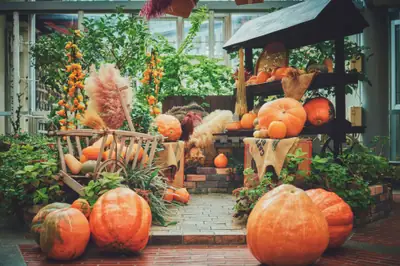 Kobe Nunobiki Herb Gardens GARDEN FEST 2026 -Autumn-
