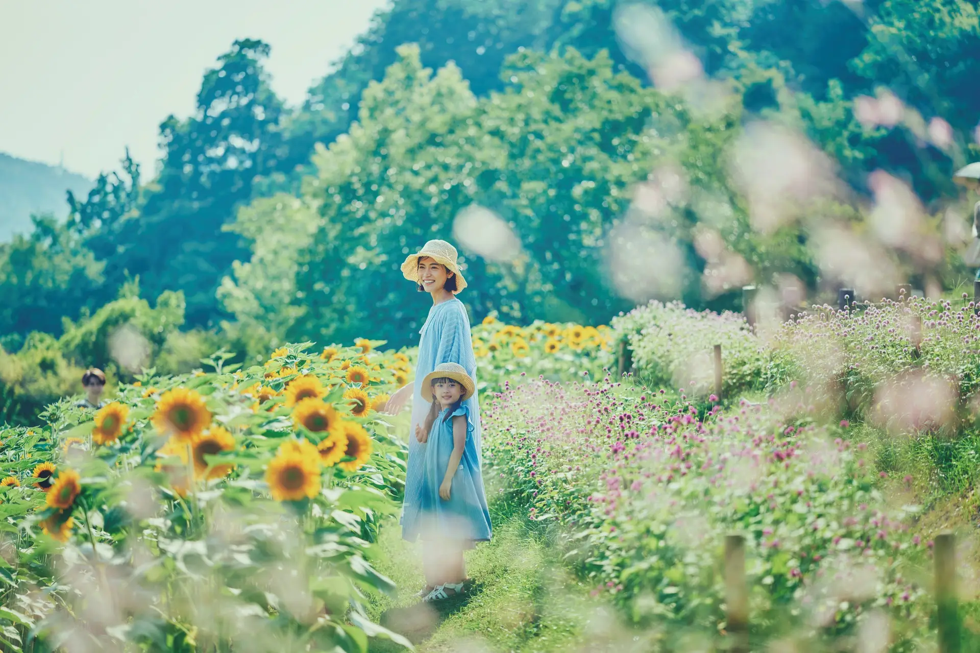 神戸布引ハーブ園 GARDEN FEST 2026 -Summer-