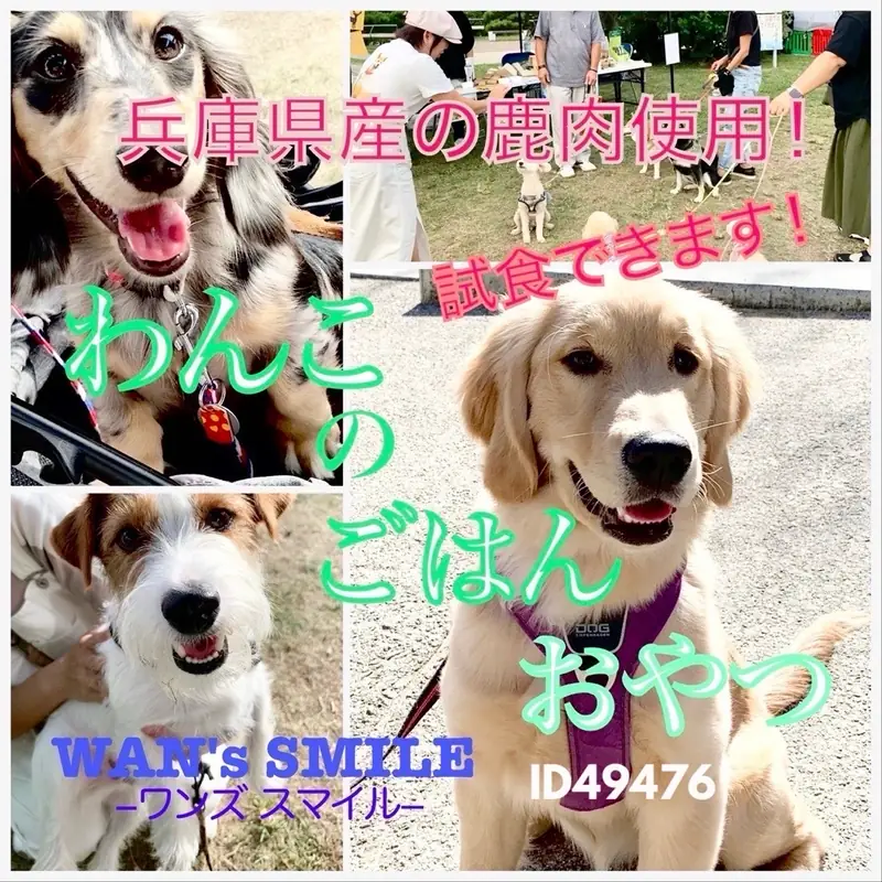 ワンズスマイル / 愛犬向けジビエおやつ