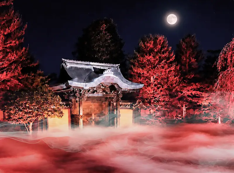 デジタル能舞 in 高台寺 1