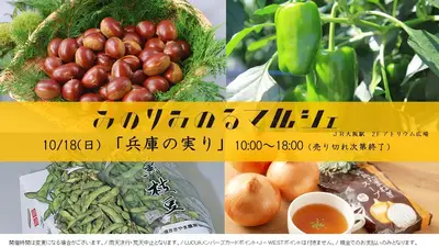 Minori Minoru Marché: Hyogo Harvest