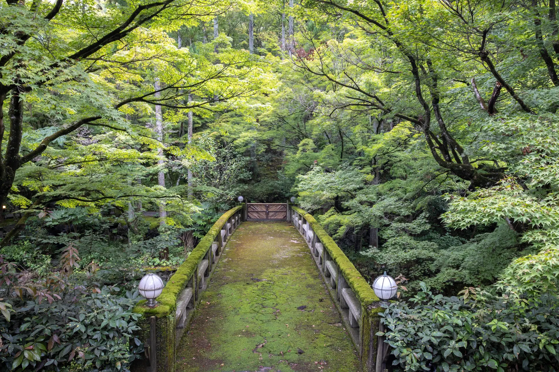 MOSS KOGEI Kyoto 현대 공예 축제