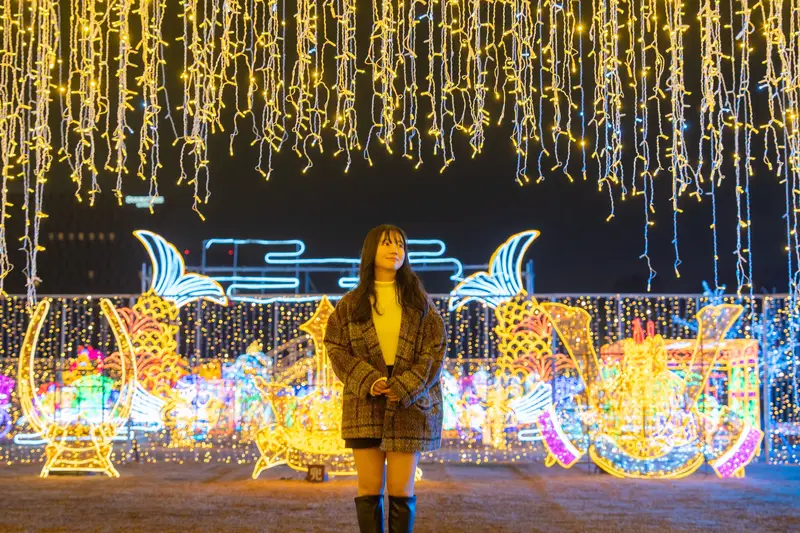 大阪城 Illuminage 光之祭 2026-2027