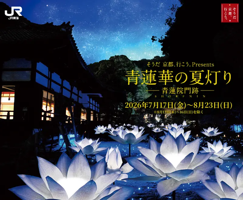 青蓮華の夏灯り ―青蓮院門跡―（2026）