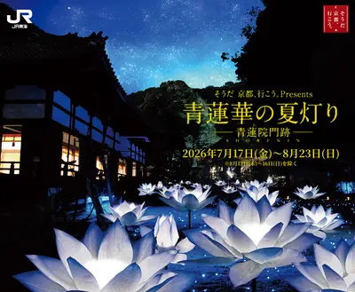 青蓮華の夏灯り ―青蓮院門跡―(2026)