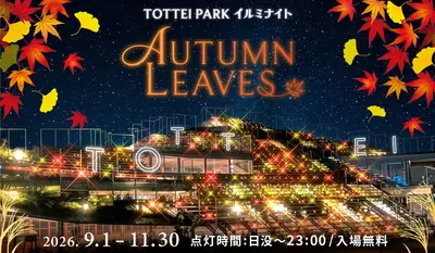 TOTTEI PARKイルミナイト AUTUMN LEAVES