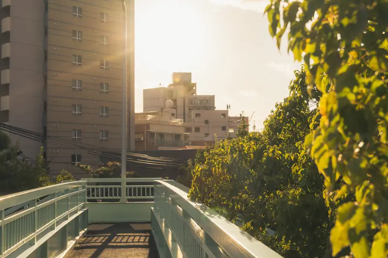 夕暮れの歩道橋