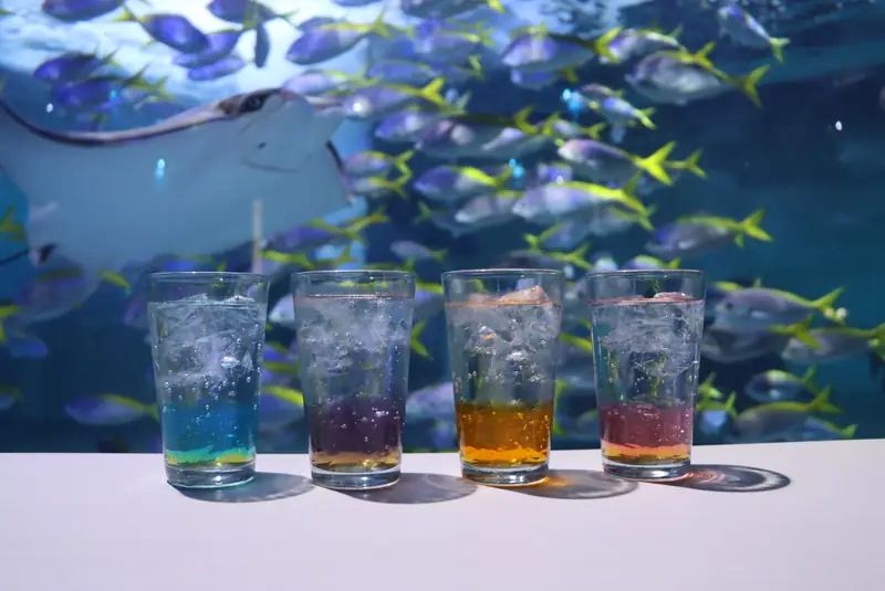 Aqua Bar