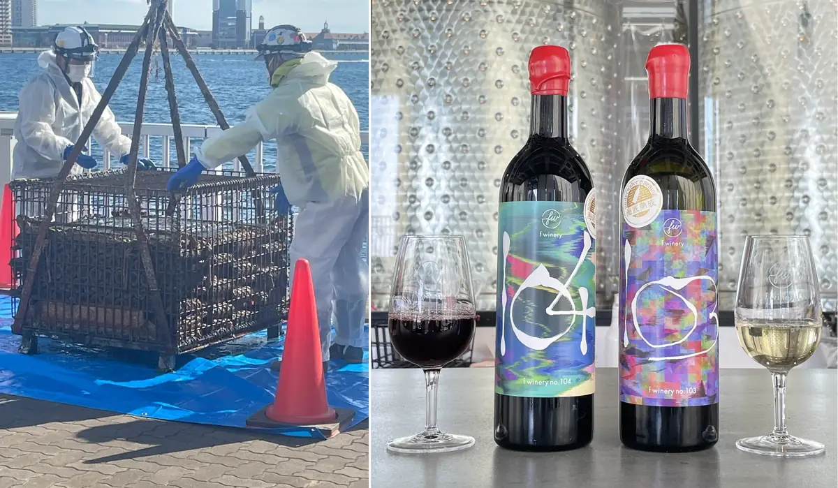 神戸港に沈んでいたワインが帰ってくる。f winery、海底熟成ワイン引き上げを4月10日に公開