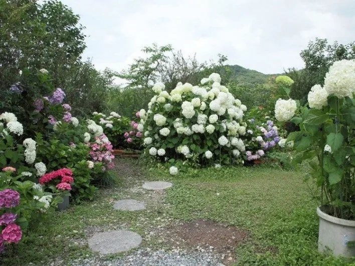 The main hall and grounds of Enshoji