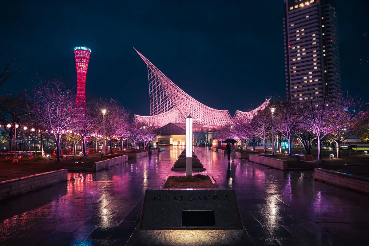 メリケン夜桜 2026が今日から。雨のメリケンパークがピンクに染まっていました