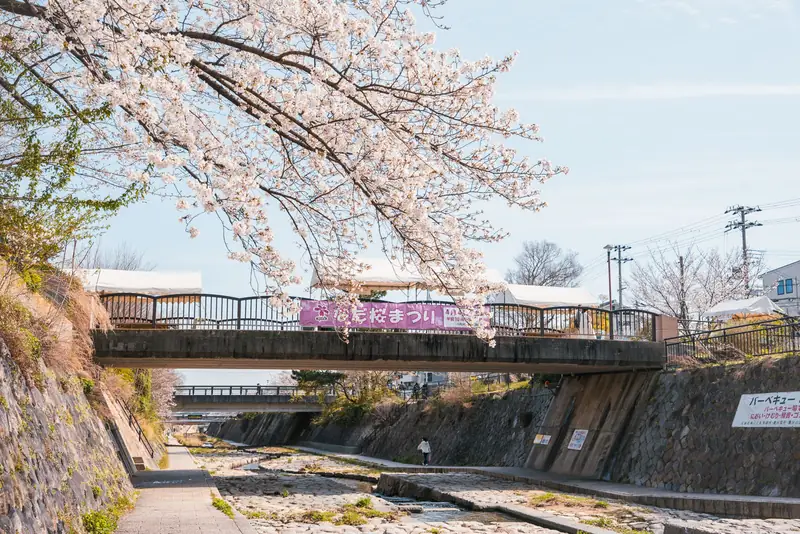 なだ桜まつりの横断幕