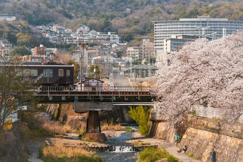 阪急電車と都賀川の桜