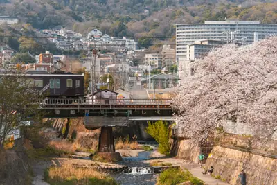 都賀川の桜へ。阪急電車と桜のコラボが見られる、灘区の春景色