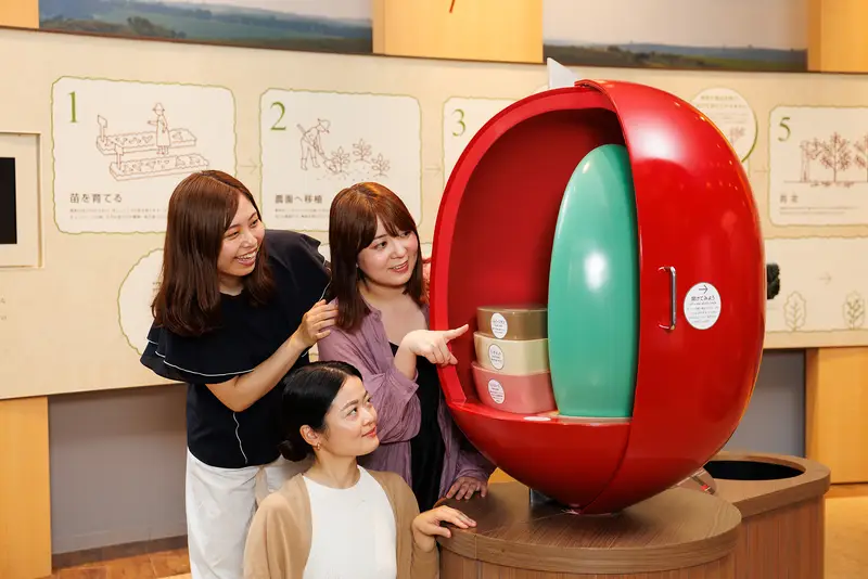 UCC咖啡博物馆 互动展览 咖啡类型诊断