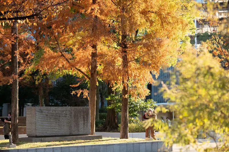 ํ๊ฐ์์ ์์น ๊ณต์ 5