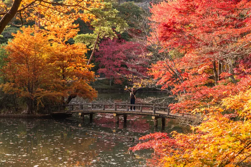 神戸市立森林植物園 2