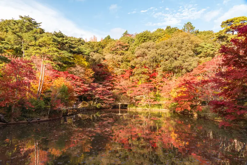 神戸市立森林植物園 3
