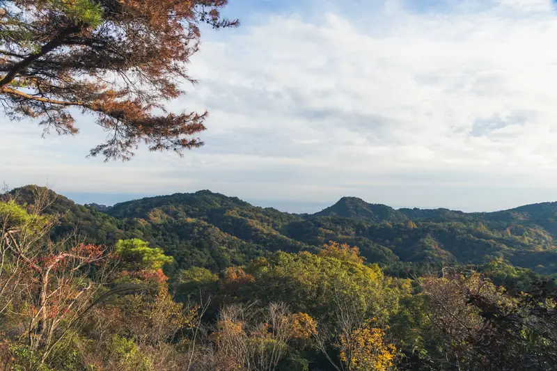 神戸市立森林植物園 4
