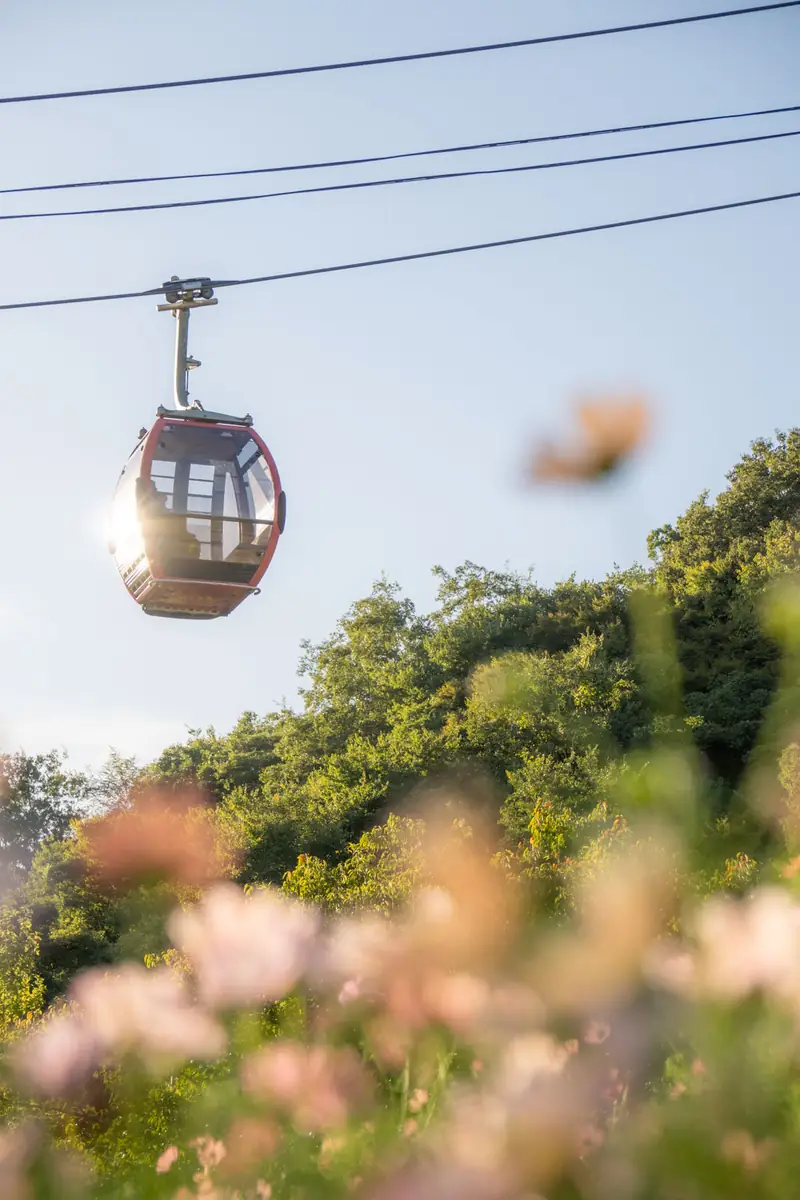 神戸布引ハーブ園／ロープウェイ 1