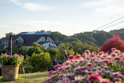 新神戸駅から徒歩5分、ロープウェイで約10分の標高約400mの山上に広がる日本最大級のハーブ園。約200種75,000株の花やハーブが四季折々に咲き誇り、12のテーマガーデンで構成されています。展望プラザからは神戸の街並みと海を一望でき、夜はライトアップされた幻想的な夜景も楽しめるガーデンリゾートです。