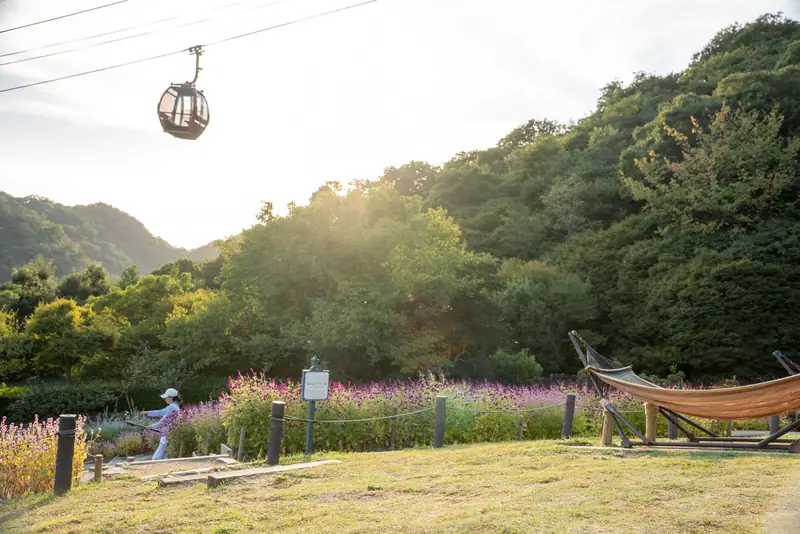 神戸布引ハーブ園／ロープウェイ 4