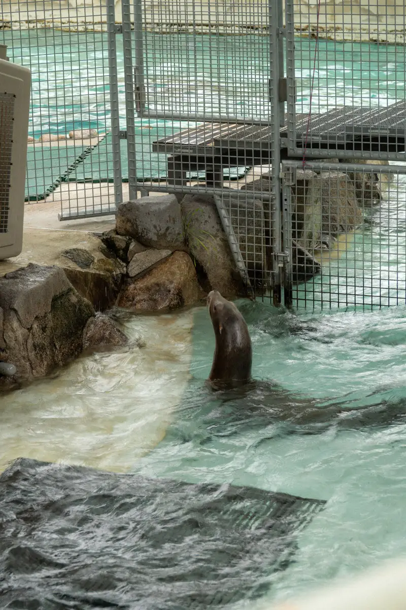 Kobe Oji Zoo 4