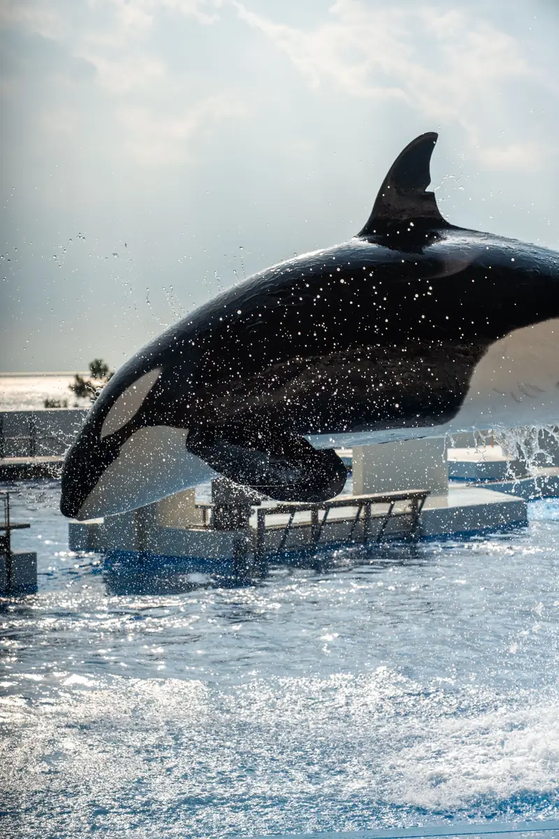 神户须磨海洋世界 2