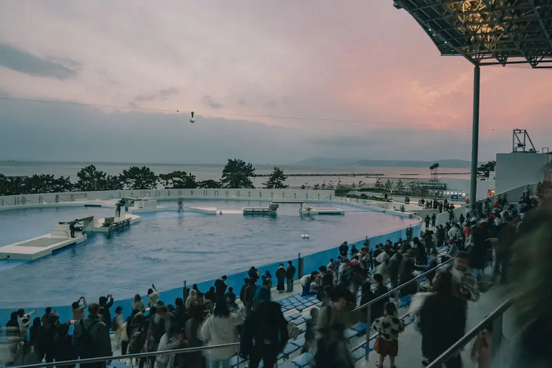 神户须磨海洋世界 3