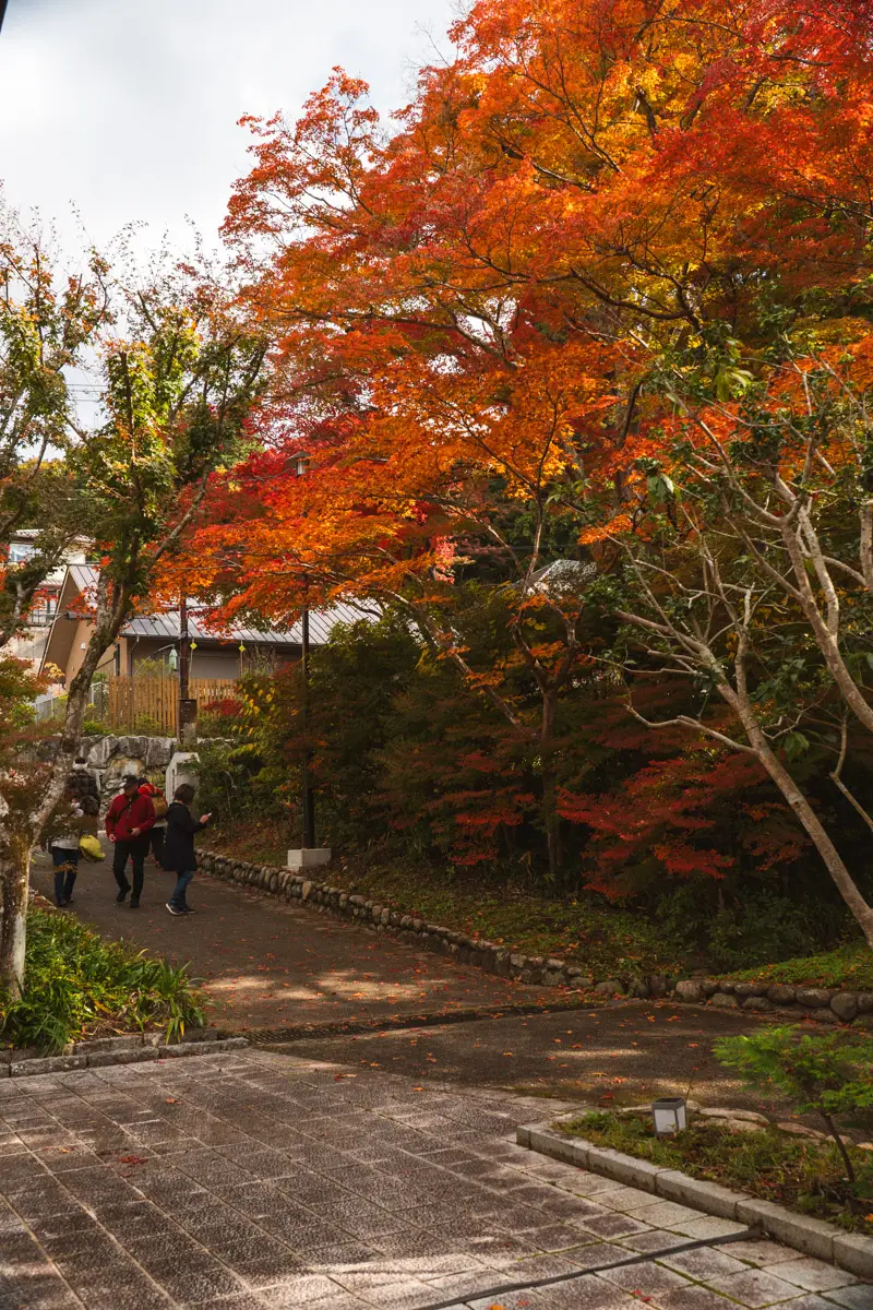 瑞宝寺公園 3