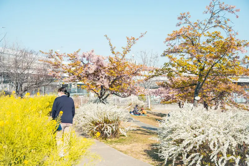 西郷川河口公園 3