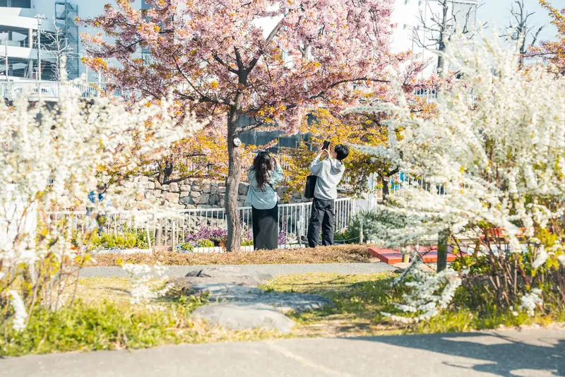 西郷川河口公園 5