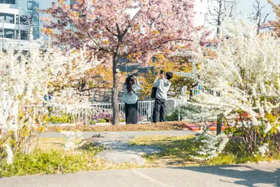 [object Object] detail