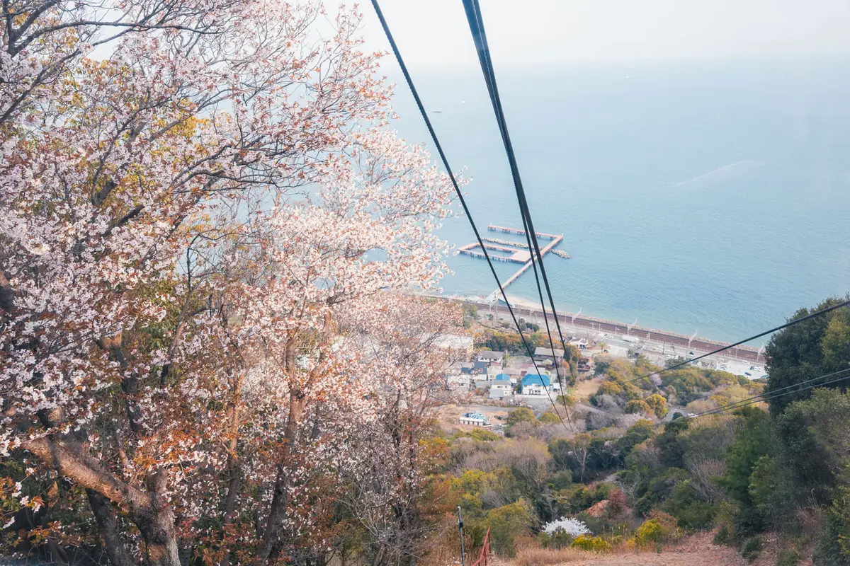 é 磚浊山äžéå 1