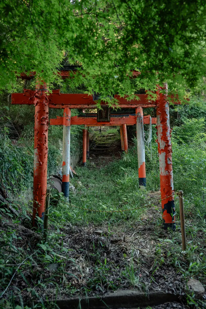 Mount Takatori 4
